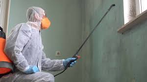 Why You Should Choose Our Mold Remediation Services in Brookings, OR