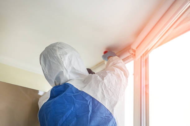 Best Biohazard Mold Removal  in Brookings, OR